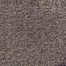 Ковролин Emphatic Beaulieu of America 56904 фото 1 | FLOORDEALER