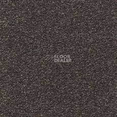 Ковролин AW Brilliant 49 фото 1 | FLOORDEALER