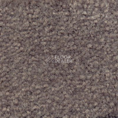 Ковролин Emphatic Beaulieu of America 56904 фото 1 | FLOORDEALER