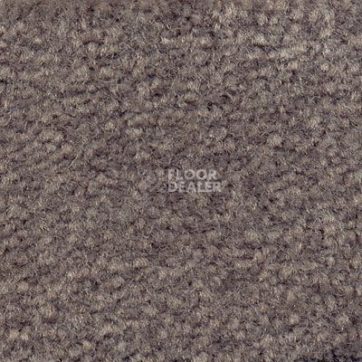 Ковролин Emphatic Beaulieu of America 56904 фото 1 | FLOORDEALER