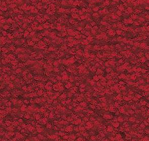 Ковролин Balsan Les First Les First 570 фото 1 | FLOORDEALER