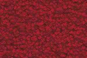 Ковролин Balsan Les First Les First 570 фото  | FLOORDEALER