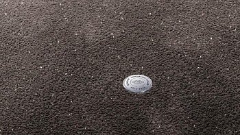 Ковролин Vorwerk Superior 1073 Vorwerk 7g77 фото 1 | FLOORDEALER