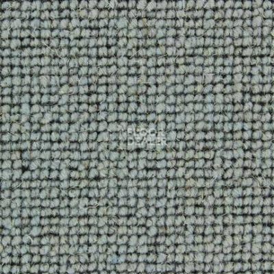Ковролин Edel Centre Point 331 фото 1 | FLOORDEALER