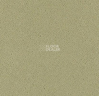 Ковровая плитка Westbond Ibond зеленая гамма 9844 фото 1 | FLOORDEALER