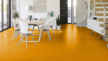 Marmorette DLW 2.5mm 0172 Papaya Orange фото 2 | FLOORDEALER