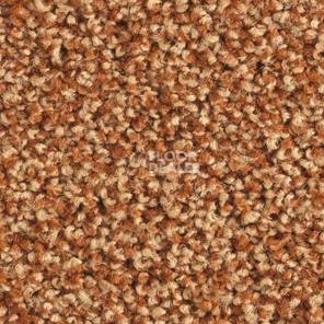 Ковролин Balsan Les Must Les Must 460 фото 1 | FLOORDEALER