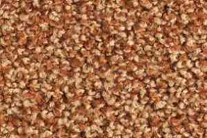 Ковролин Balsan Les Must Les Must 460 фото  | FLOORDEALER