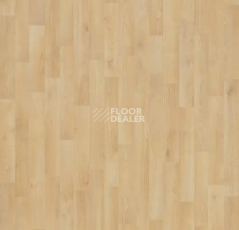 Линолеум Forbo Eternal Original 11122 natural beech фото 1 | FLOORDEALER