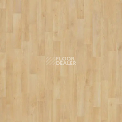 Линолеум Forbo Eternal Original 11122 natural beech фото 1 | FLOORDEALER