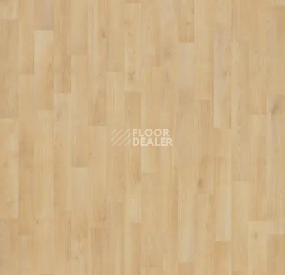 Линолеум Forbo Eternal Original 11122 natural beech фото 1 | FLOORDEALER