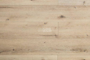 Кварцвиниловые полы Aquafloor Real Wood XL Glue AF8004XL GLUE фото 1 | FLOORDEALER