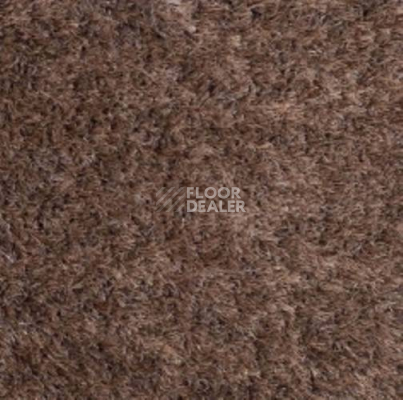 Ковролин Carnival Associated 40 фото 1 | FLOORDEALER