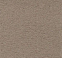 Ковролин AW Pearl 39 фото 1 | FLOORDEALER