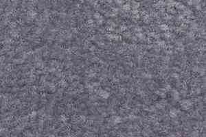 Ковролин Shaw Bradberry 30 631 фото  | FLOORDEALER