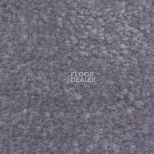 Ковролин Shaw Bradberry 30 631 фото 1 | FLOORDEALER