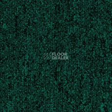 Ковровая плитка Tecsom Camera 00088 фото 1 | FLOORDEALER