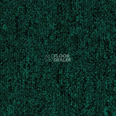 Ковровая плитка Tecsom Camera 00088 фото 1 | FLOORDEALER