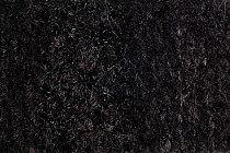 Coral Interior 1530 Midnight Shadow фото 3 | FLOORDEALER