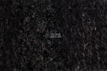 Coral Interior 1530 Midnight Shadow фото 3 | FLOORDEALER