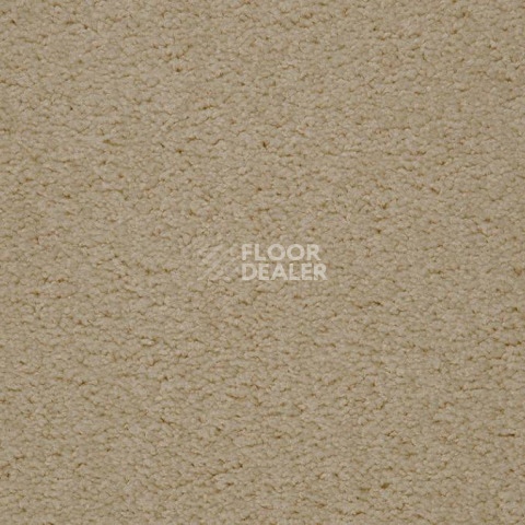 Ковролин Balta ITC Preciosa 37 фото 1 | FLOORDEALER