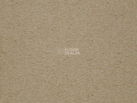 Ковролин Balta ITC Preciosa 37 фото 1 | FLOORDEALER