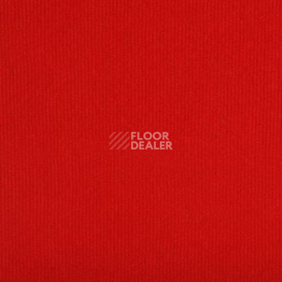 Ковролин Tapibel Bonanza 3555 фото 1 | FLOORDEALER