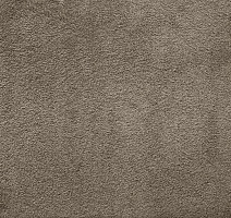 Ковролин AW Silk 49 фото 1 | FLOORDEALER