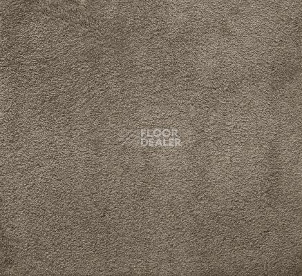 Ковролин AW Silk 49 фото 1 | FLOORDEALER