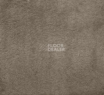 Ковролин AW Silk 49 фото 1 | FLOORDEALER