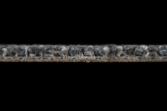 Desso AirMaster Reflection ac 58 9503 фото 6 | FLOORDEALER