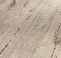 Ламинат Parador Trendtime 1 1473910 Дуб Century Лощеный 2V фото 1 | FLOORDEALER