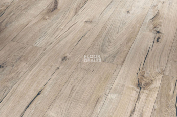 Ламинат Parador Trendtime 1 1473910 Дуб Century Лощеный 2V фото 1 | FLOORDEALER