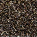 Ковролин Big Dublin Heather 992  | FLOORDEALER