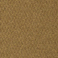 Shaw Formation 701 фото 1 | FLOORDEALER