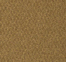 Ковролин Shaw Formation 701 фото 1 | FLOORDEALER