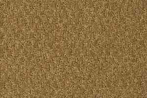 Ковролин Shaw Formation 701 фото  | FLOORDEALER