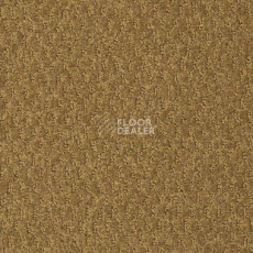 Ковролин Shaw Formation 701 фото 1 | FLOORDEALER