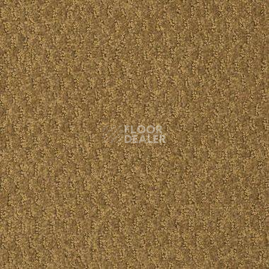 Ковролин Shaw Formation 701 фото 1 | FLOORDEALER