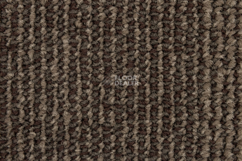 Escom Coral 5411 фото 2 | FLOORDEALER