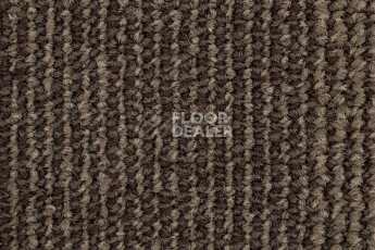 Escom Coral 5411 фото 2 | FLOORDEALER