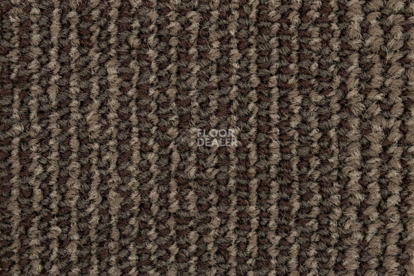 Escom Coral 5411 фото 2 | FLOORDEALER