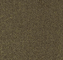 Ковролин Gleam W2W 212 Gleam w2w фото 1 | FLOORDEALER