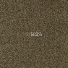 Ковролин Gleam W2W 212 Gleam w2w фото 1 | FLOORDEALER