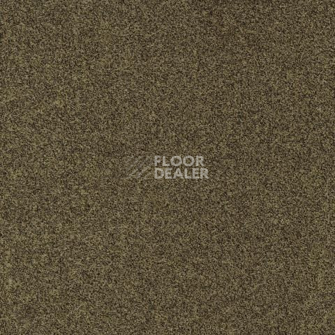 Ковролин Gleam W2W 212 Gleam w2w фото 1 | FLOORDEALER