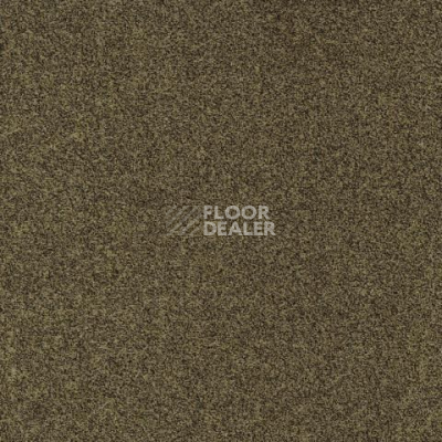 Ковролин Gleam W2W 212 Gleam w2w фото 1 | FLOORDEALER