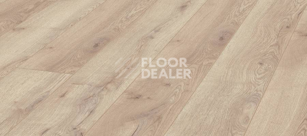 Ламинат Kronotex Mammut Plus d4728 Дуб Горный Бежевый фото 1 | FLOORDEALER