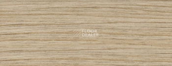 Плинтус Dollken EP 60/13 2619 фото 2 | FLOORDEALER