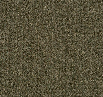 Ковровая плитка Shaw Momentum 02304 фото 1 | FLOORDEALER