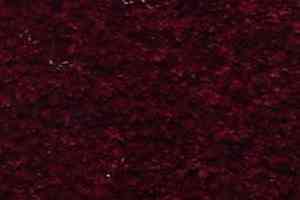 Ковролин Serene Beaulieu of America 26 фото  | FLOORDEALER